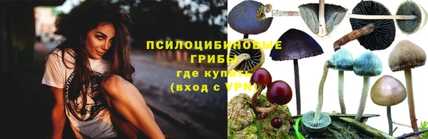 спиды Алзамай