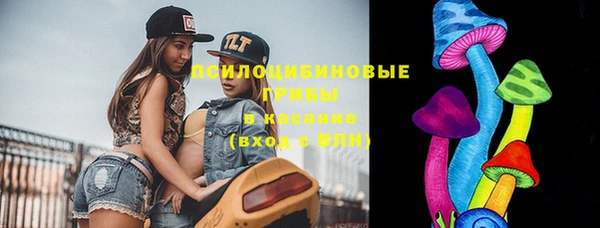 герыч Алексин